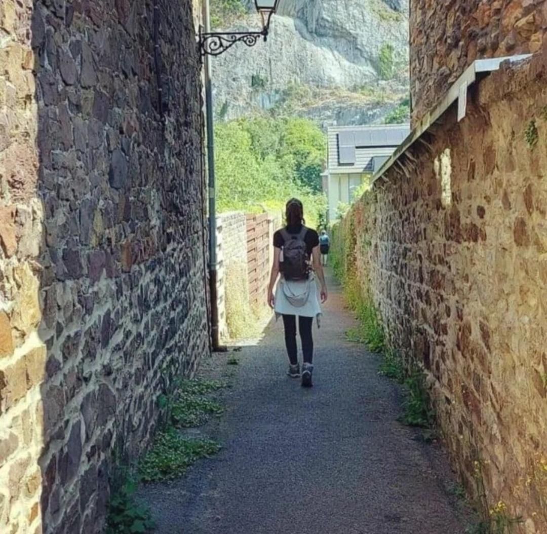 Escale Chambre D'Hotes Au Coeur Du Vieux Profondeville Entre Namur Et Dinant 외부 사진